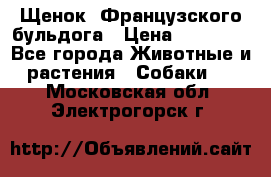 Щенок  Французского бульдога › Цена ­ 35 000 - Все города Животные и растения » Собаки   . Московская обл.,Электрогорск г.